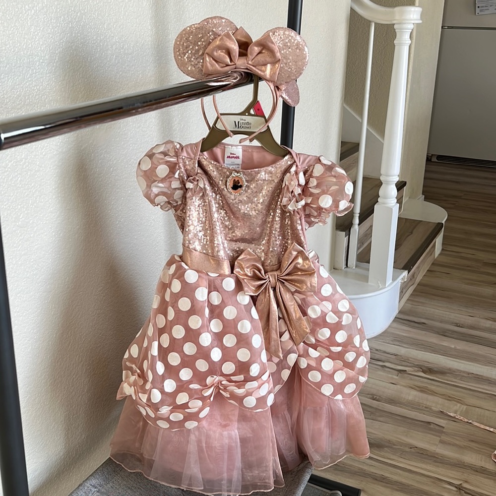 Minnie Mouse costume